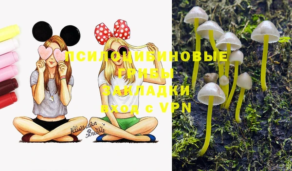 бошки Наволоки